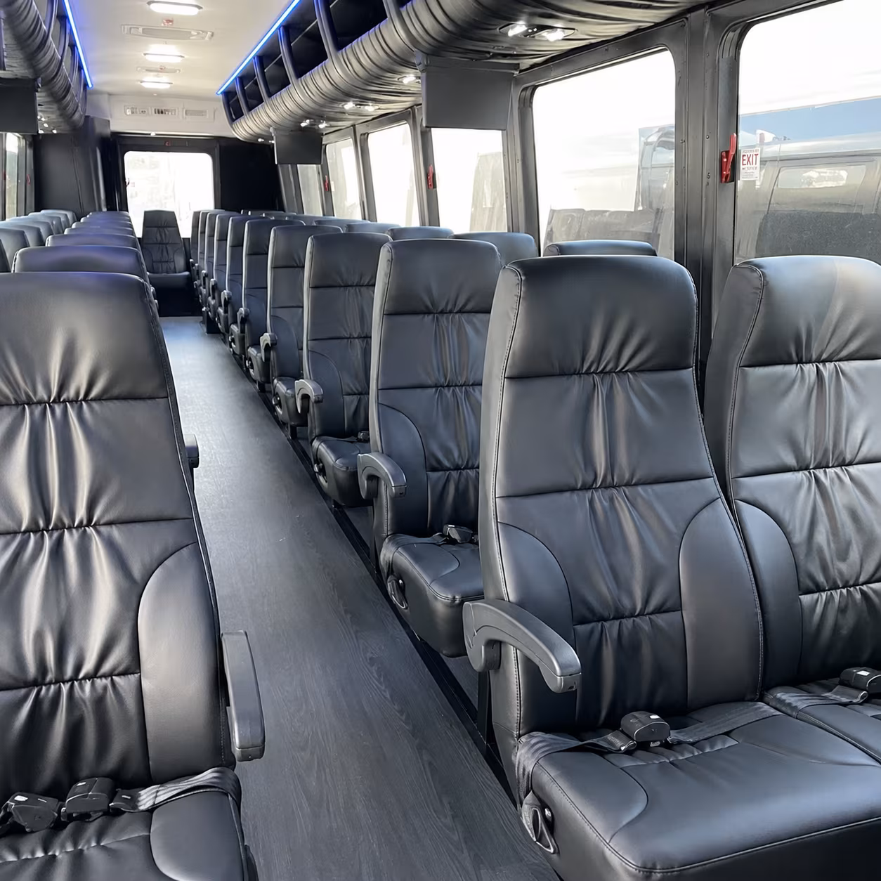 book a bus for your next birthday 2