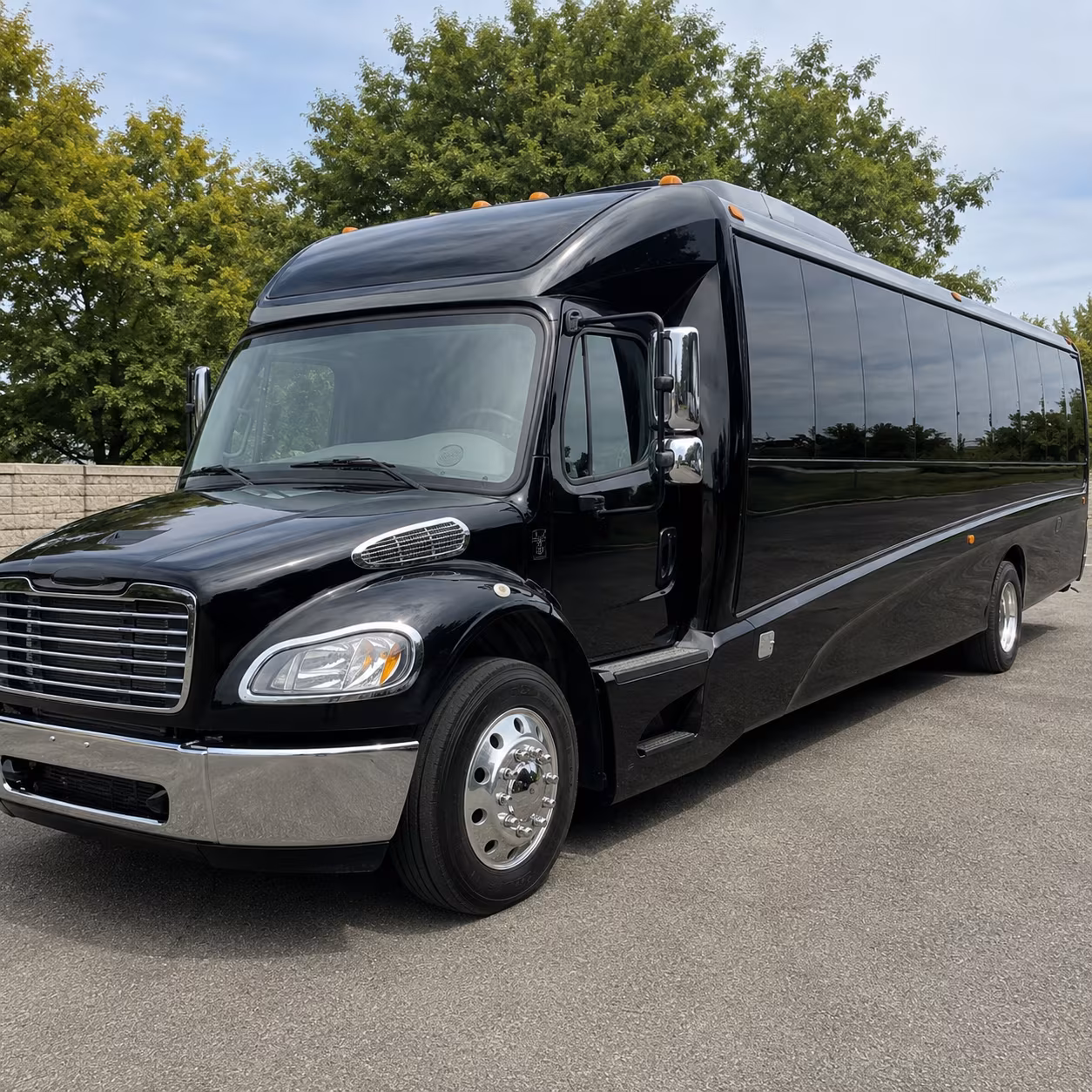 mcallen 18 passenger minibus