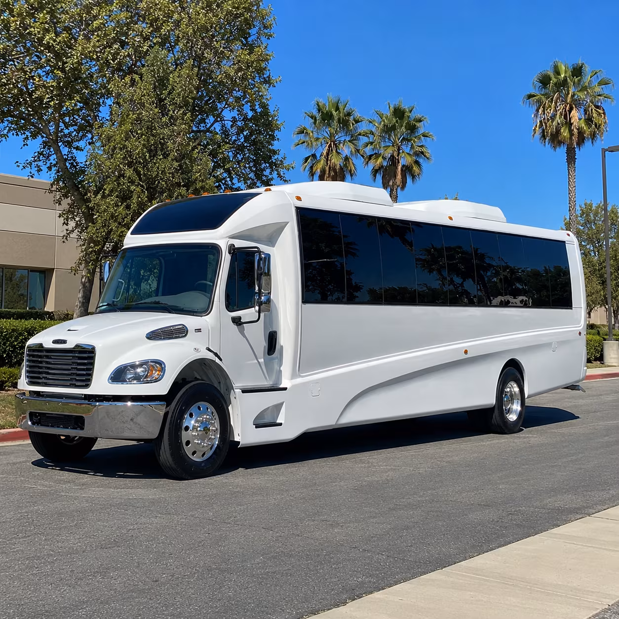 mcallen 28 passenger minibus