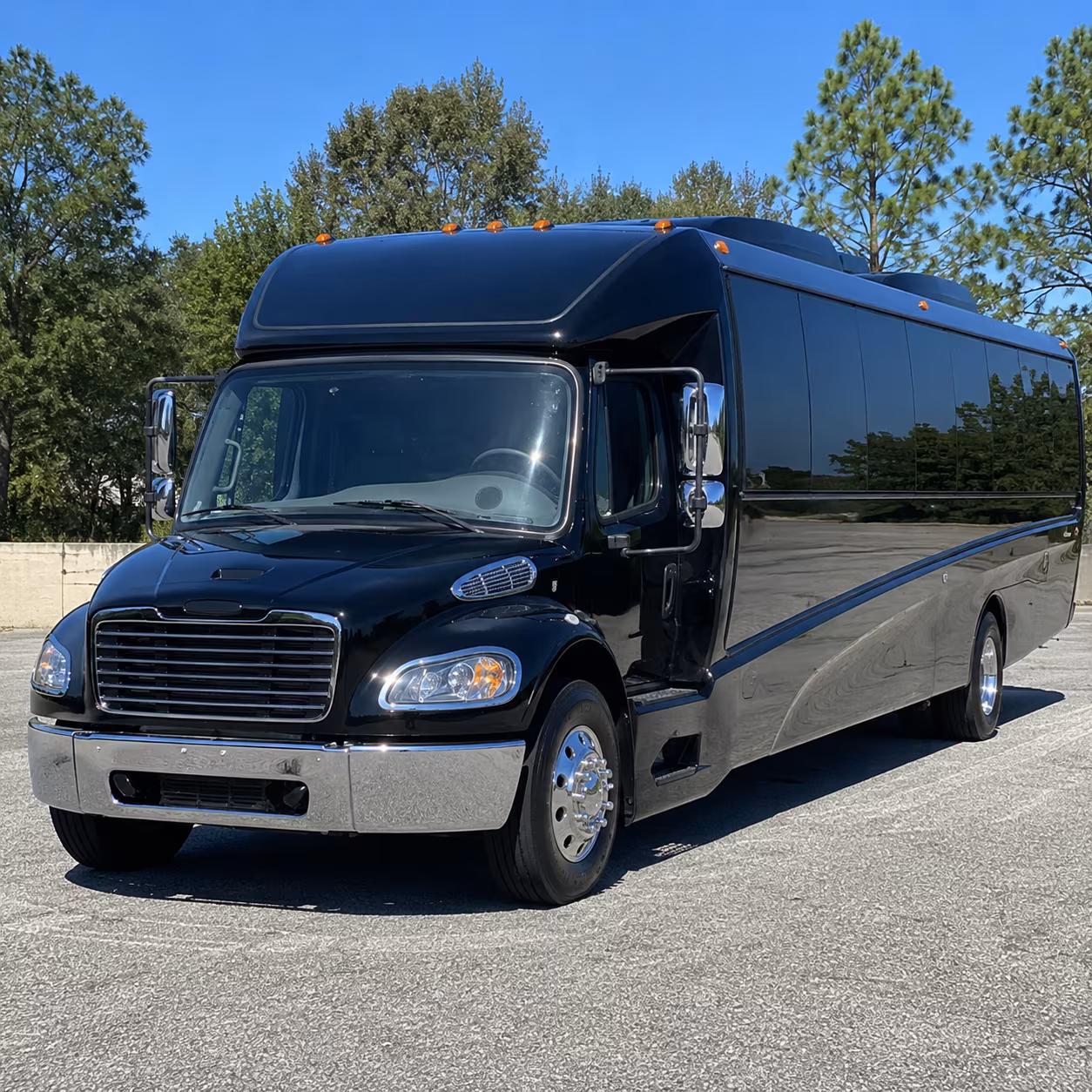 mcallen 35 passenger minibus