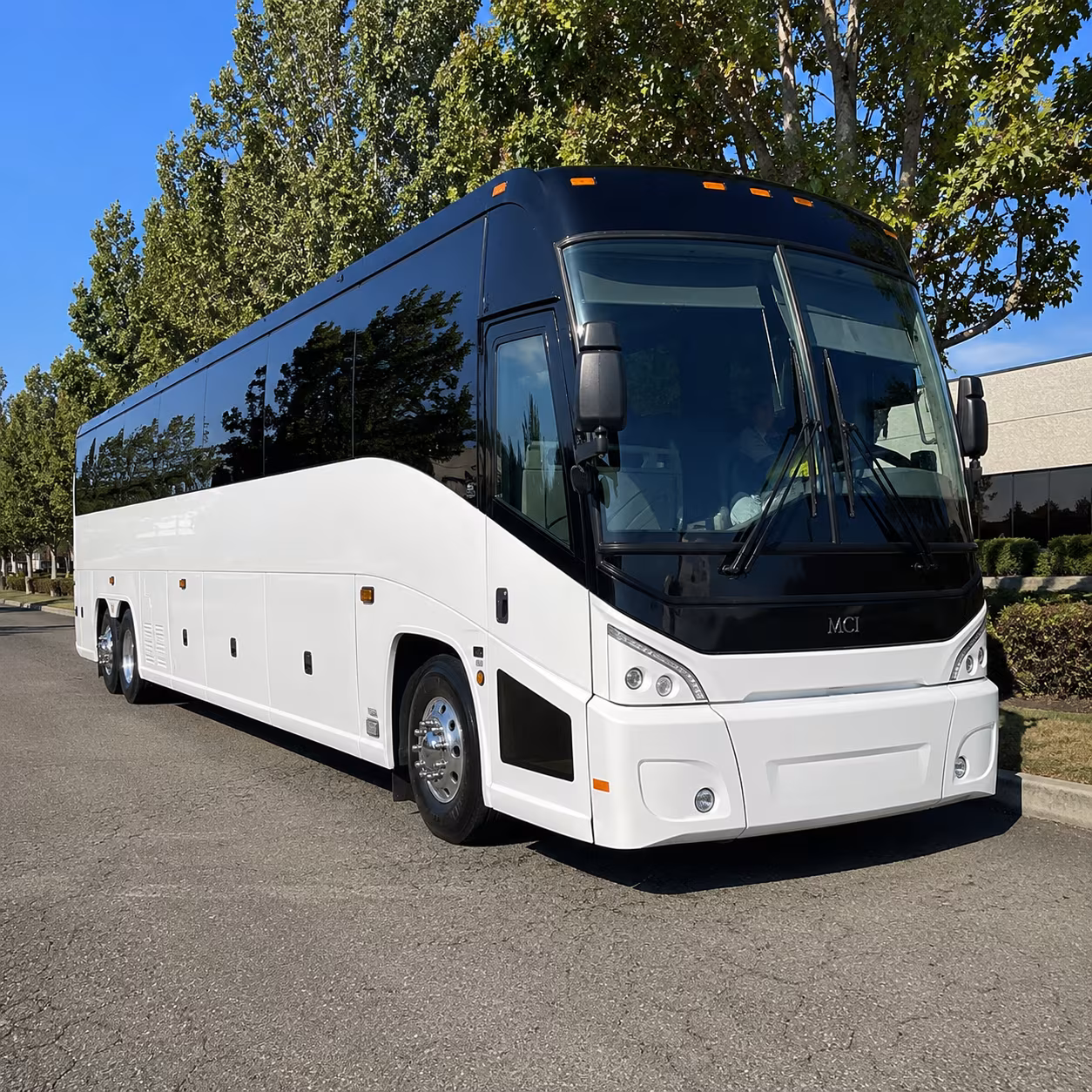 mcallen 50 passenger charter bus