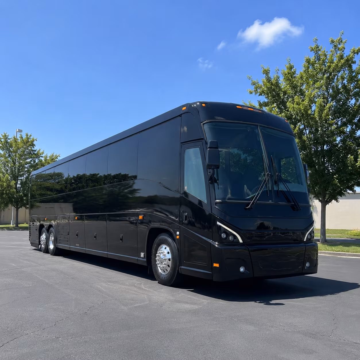 mcallen 56 passenger charter bus