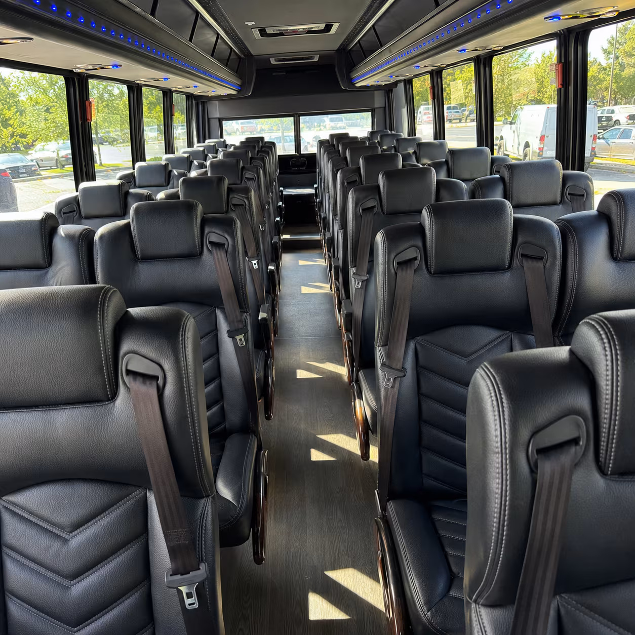 mcallen wine tour transportation onboard seating